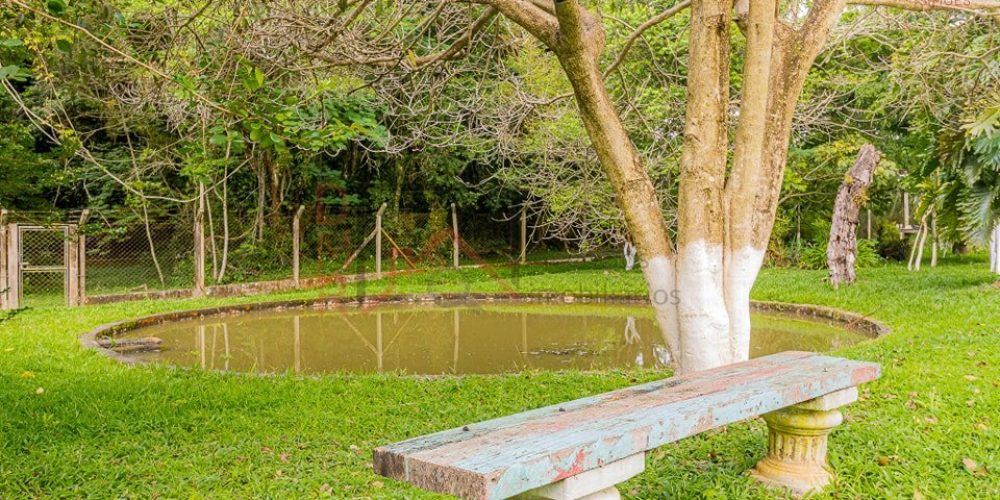 369869416_1350794275689142_3823035724667611078_n