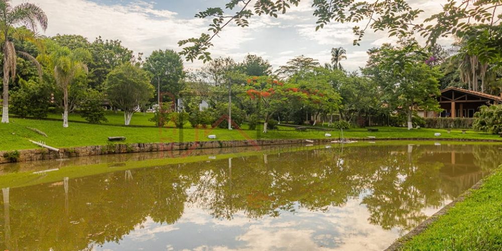 397872752_1350794249022478_1760279869134511904_n