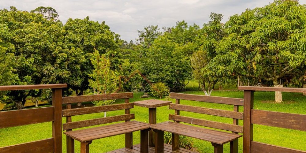 397884172_1350793982355838_848930316830219415_n