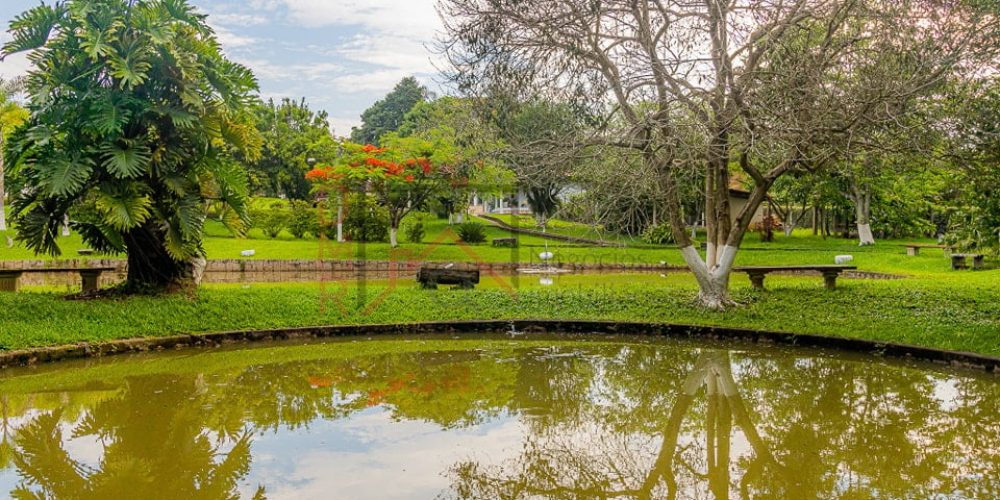 397884556_1350793612355875_2758294615349894258_n