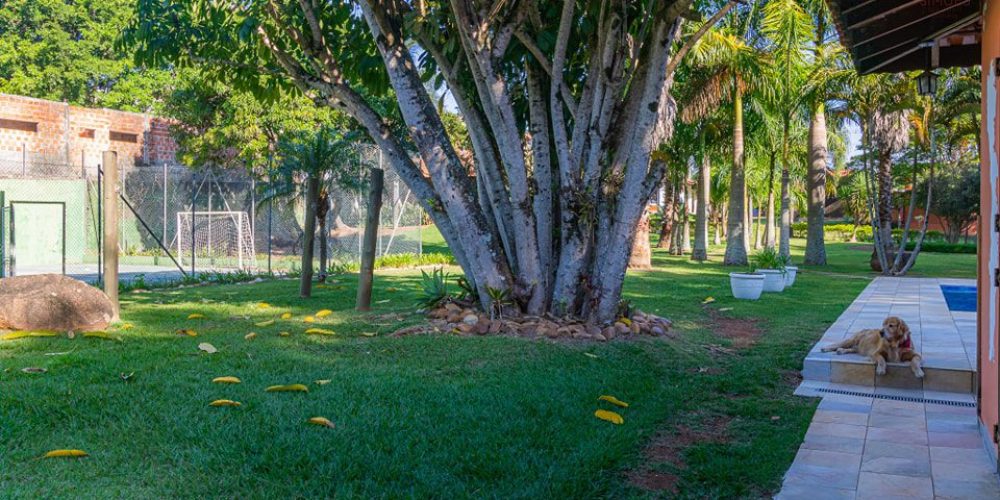 448160400_1499298330838735_7799011878795076658_n