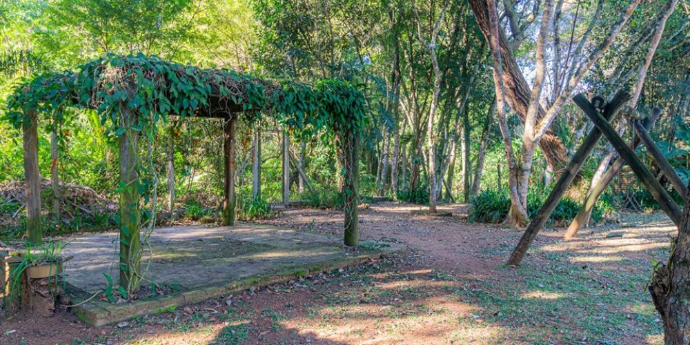 448303194_1499298757505359_7124955539863460498_n