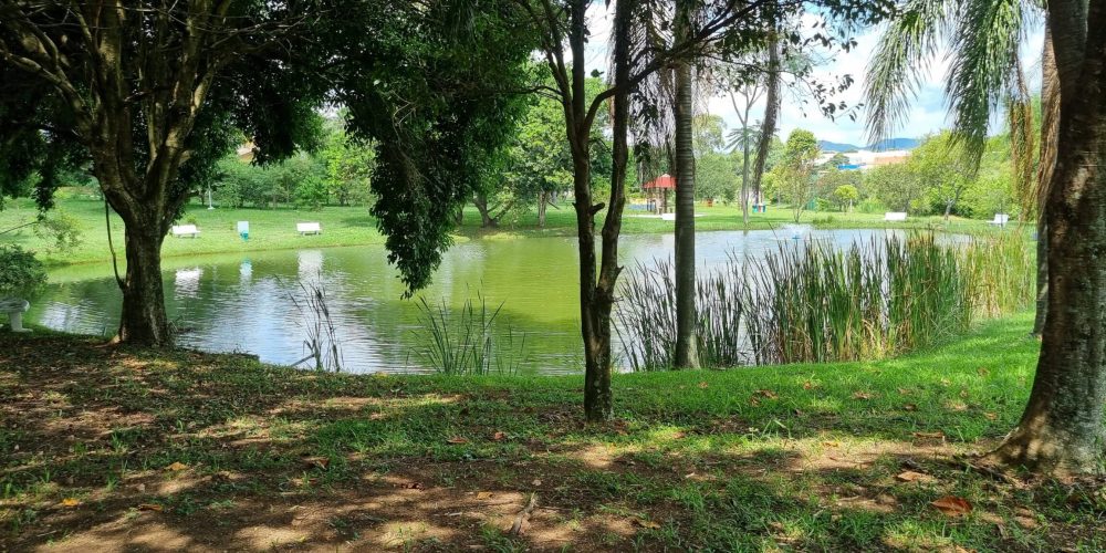 WhatsApp Image 2024-03-19 at 14.26.30 (1)