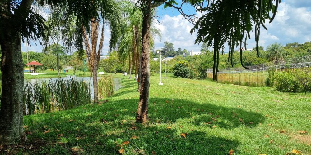 WhatsApp Image 2024-03-19 at 14.26.32 (2)