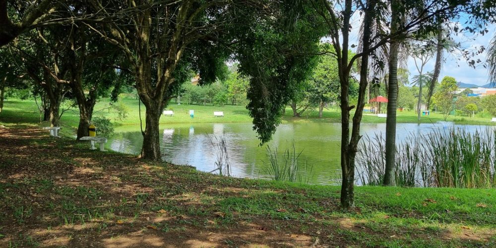 WhatsApp Image 2024-03-19 at 14.26.32 (3)