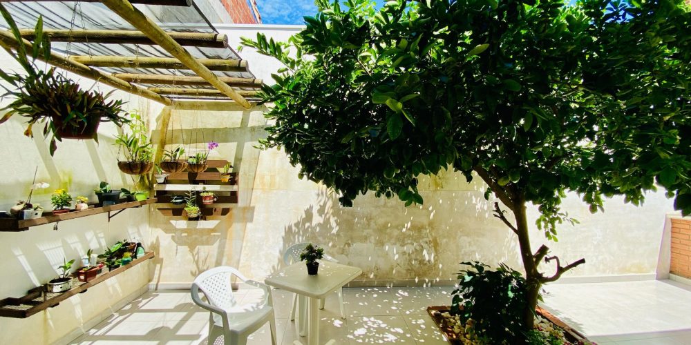 WhatsApp Image 2025-02-18 at 12.00.40