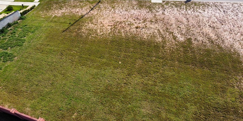 WhatsApp Image 2025-10-27 at 16.24.24 (1)